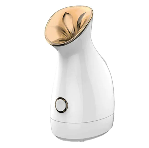 3-in-1 Nano Ionic Facial Steamer