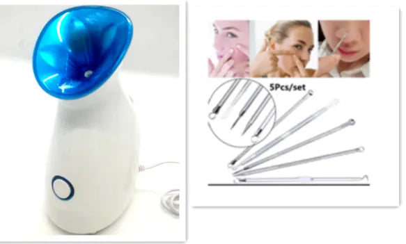 3-in-1 Nano Ionic Facial Steamer