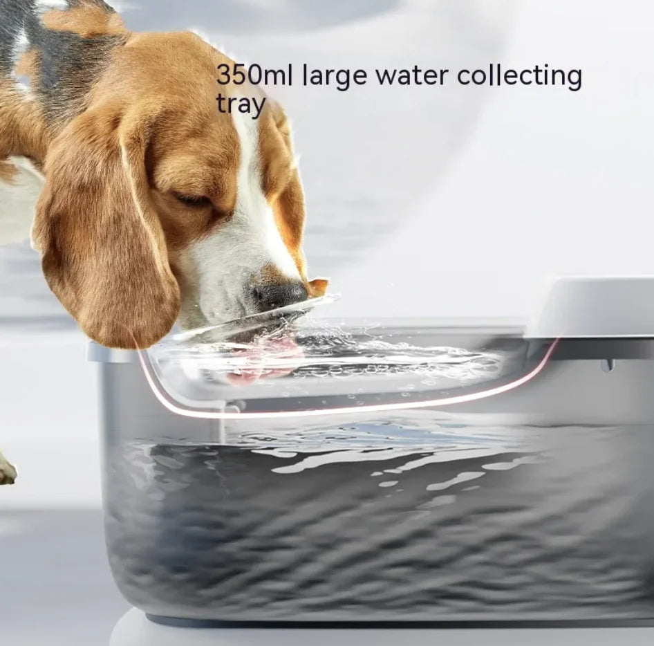 Minimalist Pet Water Dispenser