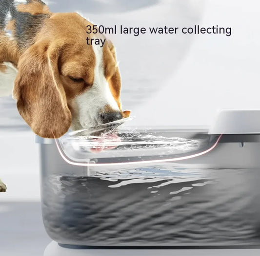 Minimalist Pet Water Dispenser