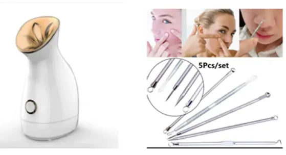 3-in-1 Nano Ionic Facial Steamer