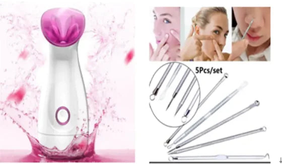 3-in-1 Nano Ionic Facial Steamer